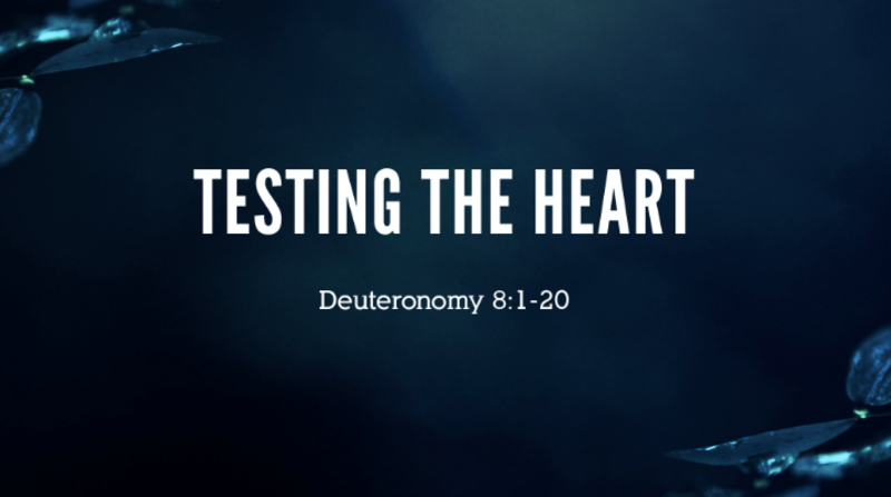 Testing the Heart