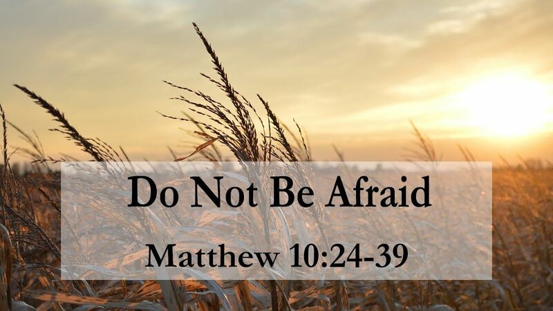 Sermon for June 21, 2026 by The Rev. Joseph J. Rose