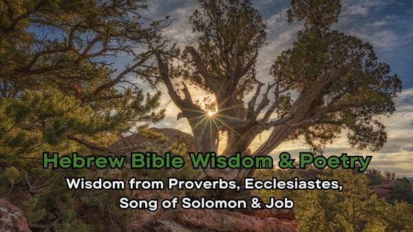 Hebrew Bible Wisdom & Poetry