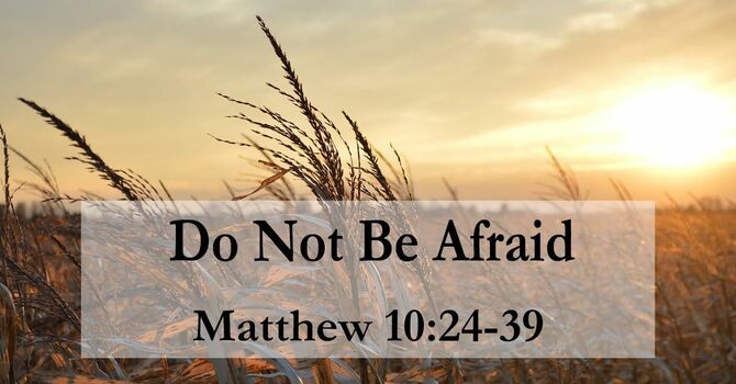 Sermon for June 21, 2026 by The Rev. Joseph J. Rose