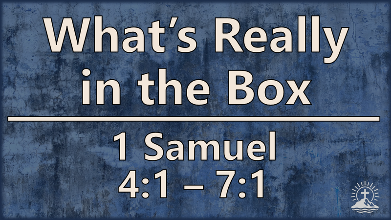 What's Really in the Box
