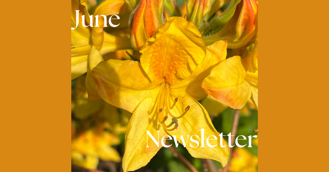 Newsletter image