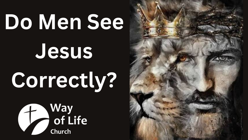 Do Men See Jesus Correctly