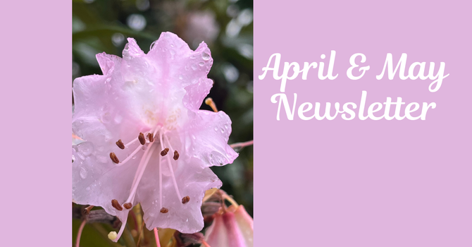 Newsletter image