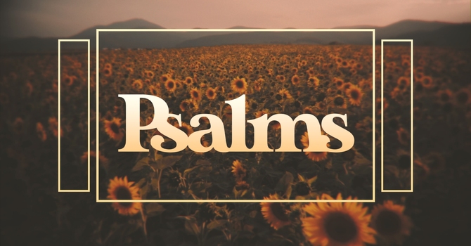 A Psalm For Insomniacs!