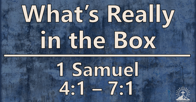 What's Really in the Box