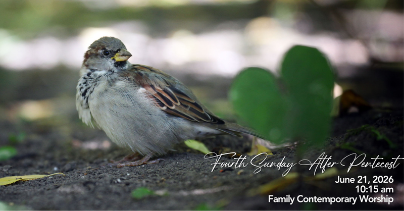 Fifth Sunday After Pentecost
