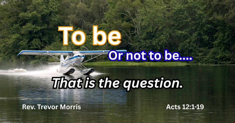 To be or Not to be...