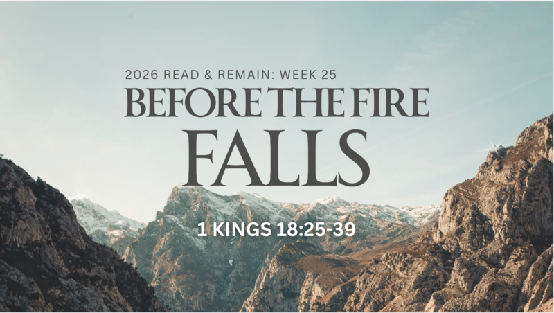 Before the Fire Falls