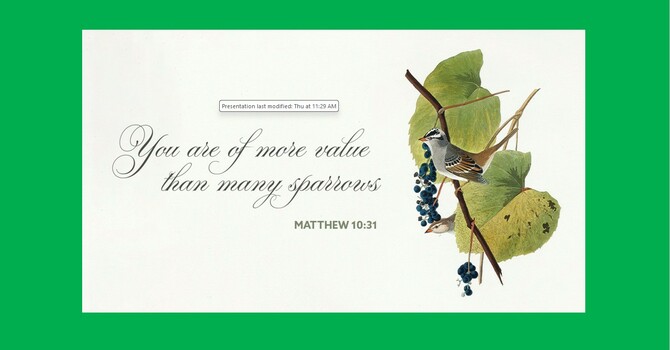 You Are Worth More Than Many Sparrows
