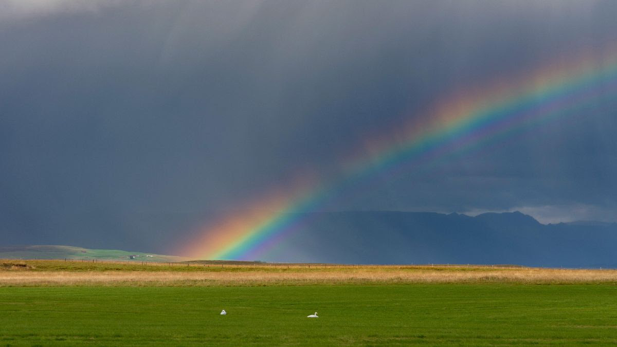 Slideshow image