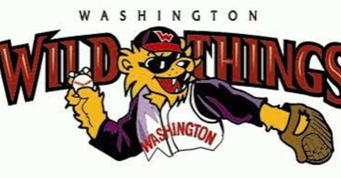 Wild Things baseball game