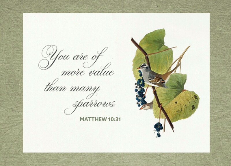 Sermon for June 21, 2026