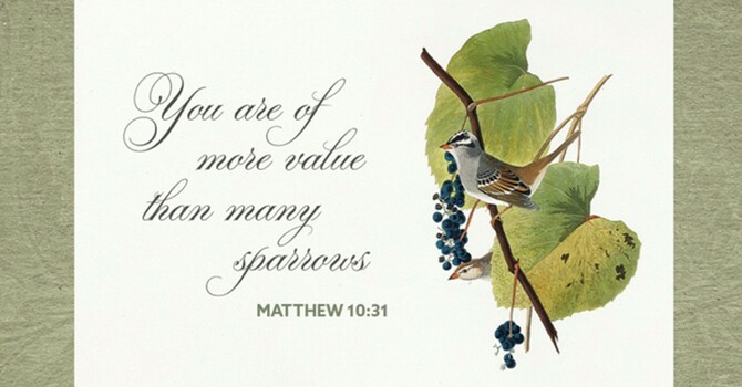 Sermon for June 21, 2026