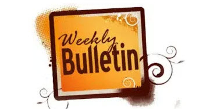  ​A Note From Rev. Cathy Boyd