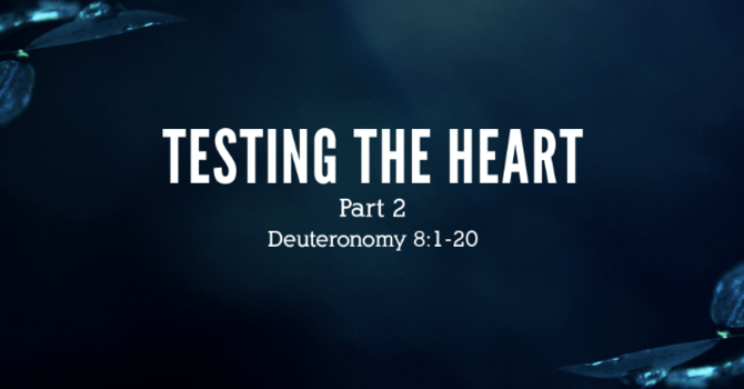 Testing the Heart, part 2