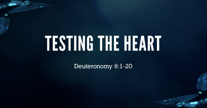 Testing the Heart