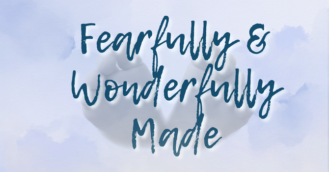 Fearfully and Wonderfully Made