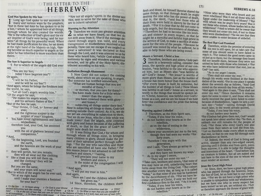 Insights from Hebrews