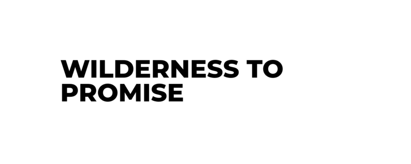 Wilderness to Promise