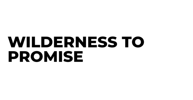 Wilderness to Promise