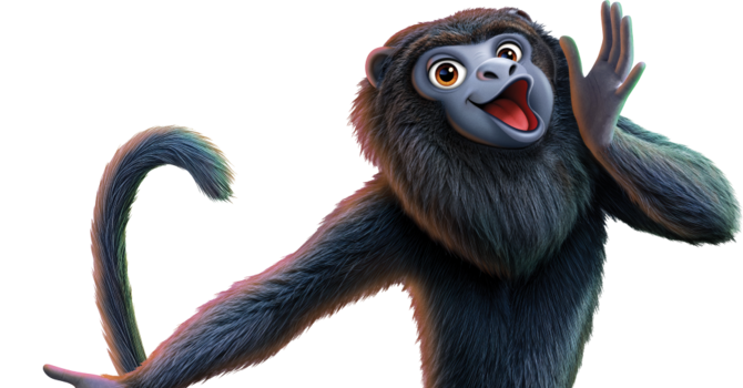 Rainforest Falls VBS Sunday
