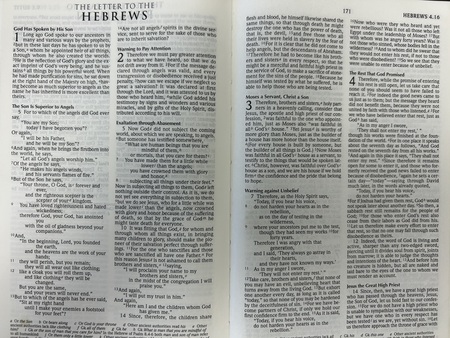 Insights from Hebrews