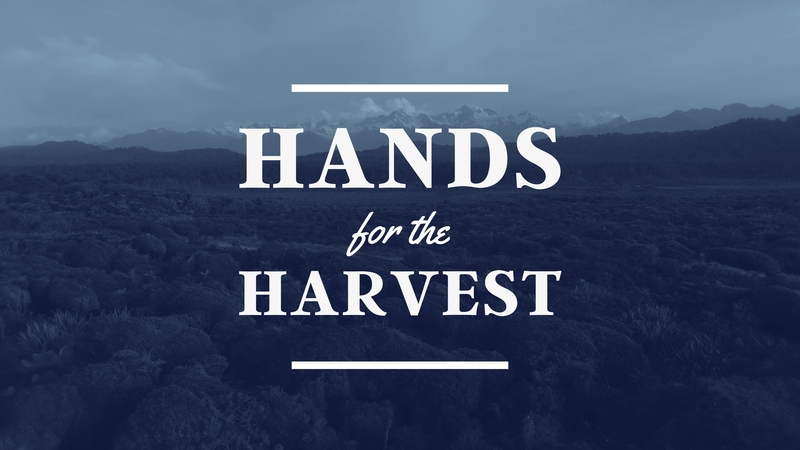 Hands for the Harvest