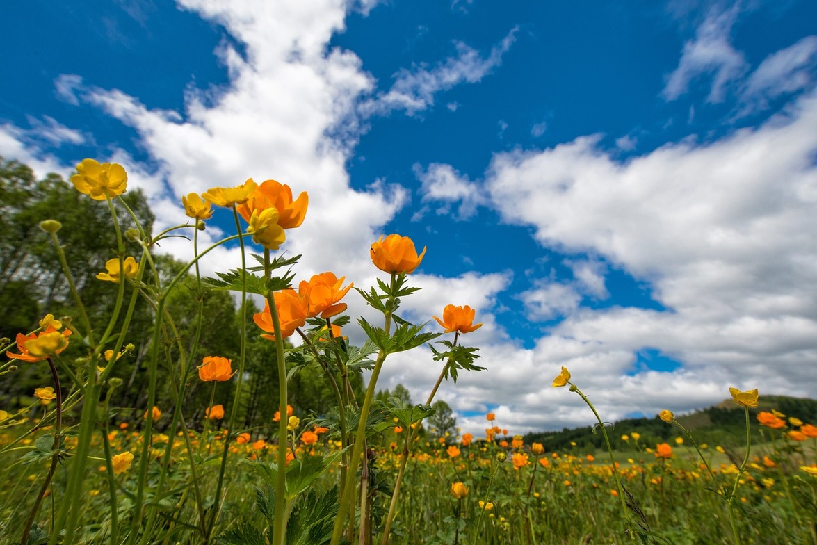 Slideshow image