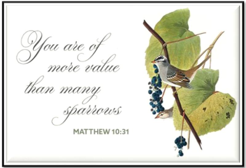 Worship Sunday June 21, 2026