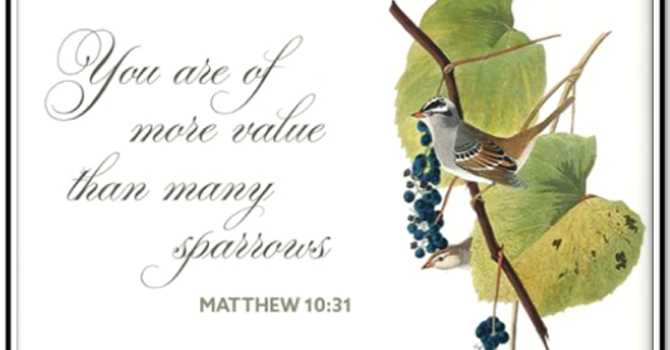 Worship Sunday June 21, 2026
