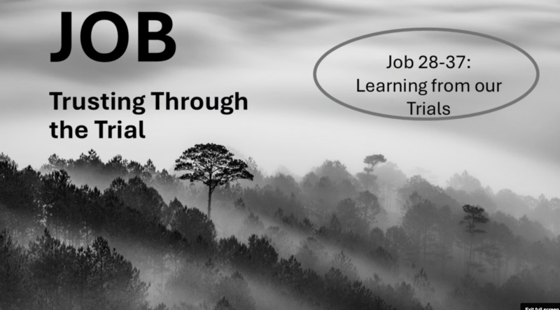 "Job: Trusting through the trial. Ch. 28-37:Learning from our trials"