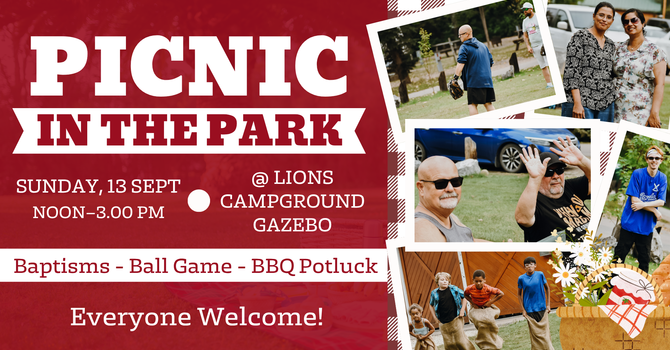 Picnic In The Park