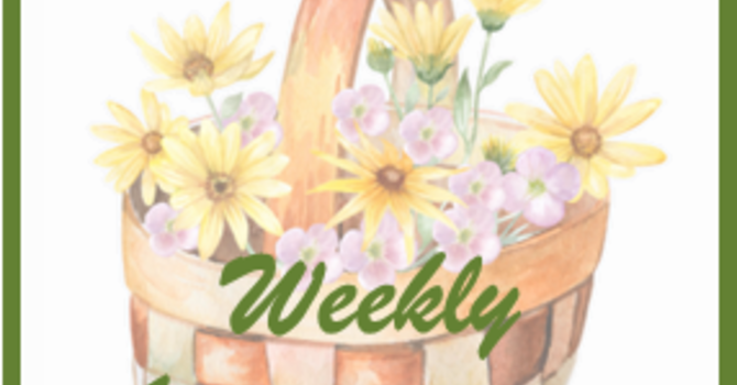 Weekly Announcements