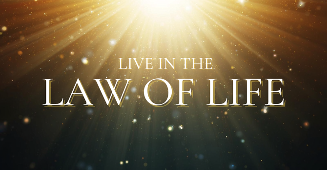 Live in the Law of Life image