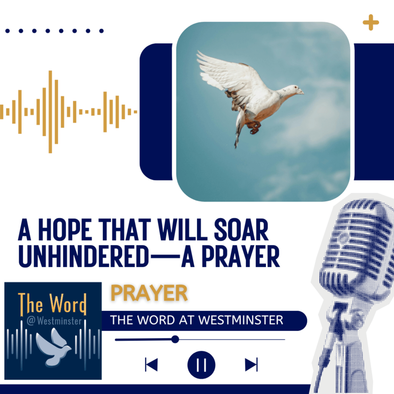 A hope that will soar unhindered - a prayer