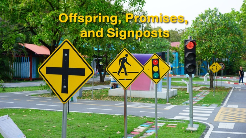 Offspring, Promises, and Signposts