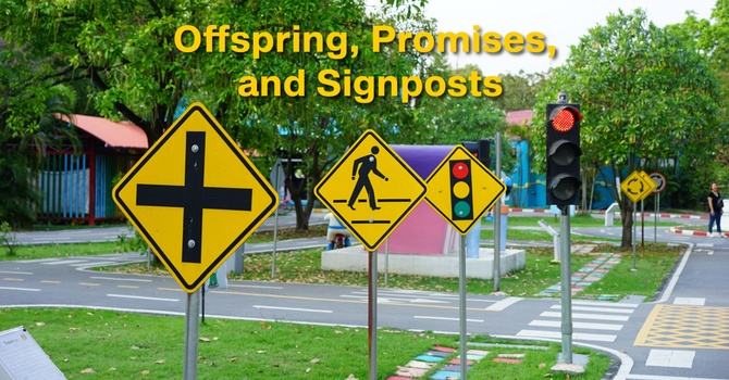 Offspring, Promises, and Signposts