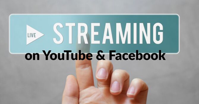 Live Stream