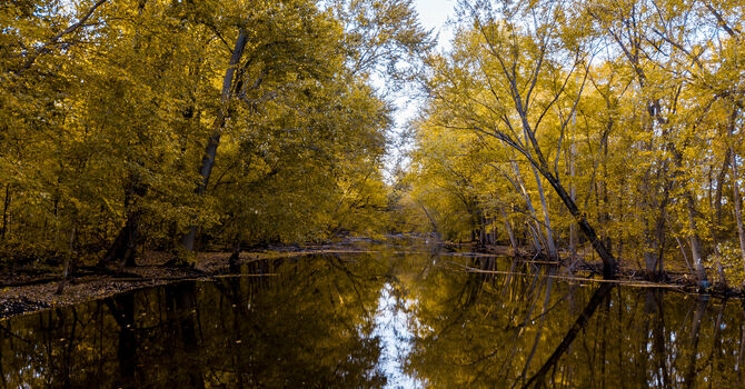Pastoral Pondering image