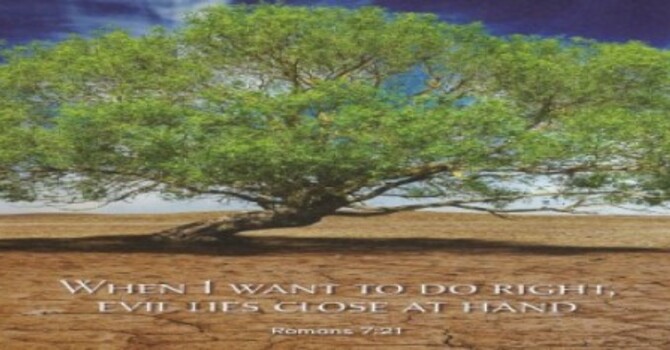 Worship Service - Sixth Sunday After Pentecost