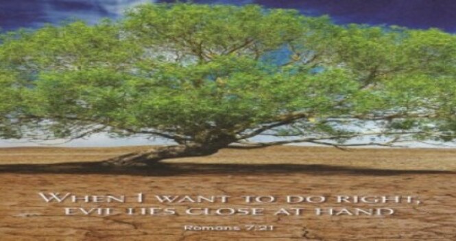 Worship Service - Sixth Sunday After Pentecost