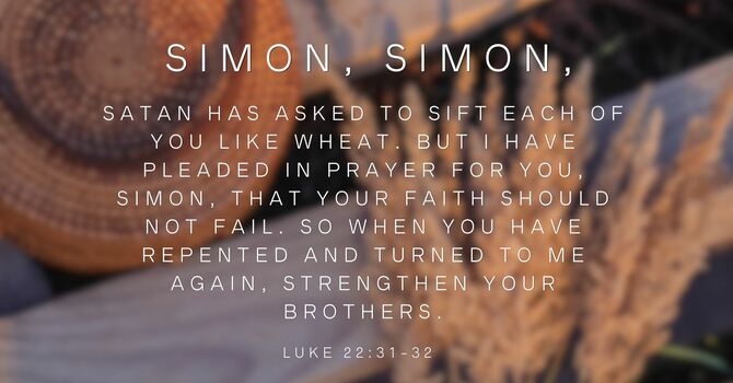 What is Sifting Like Wheat?