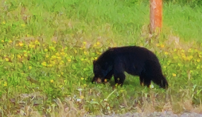 Slideshow image