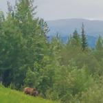nav image
