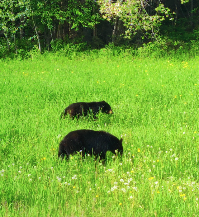 Slideshow image