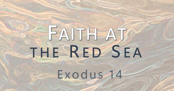 Faith at the Red Sea