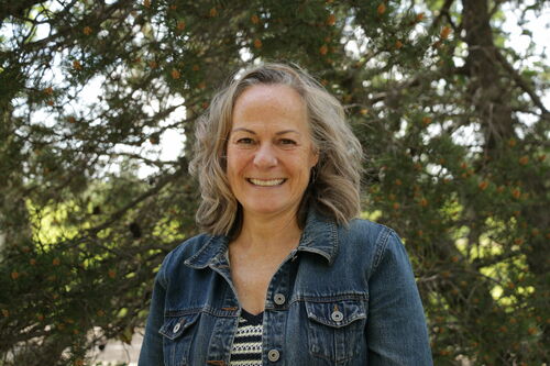 Lynne Lambert