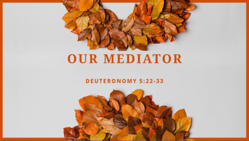 Our Mediator