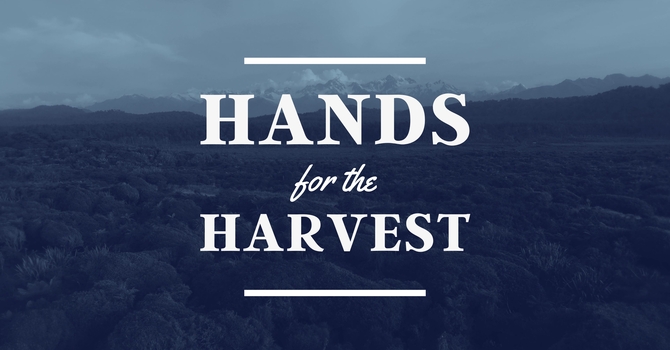 Hands for the Harvest